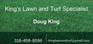 Lawn Treatment - King's Lawn and Turf