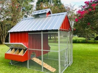 Chicken Coop