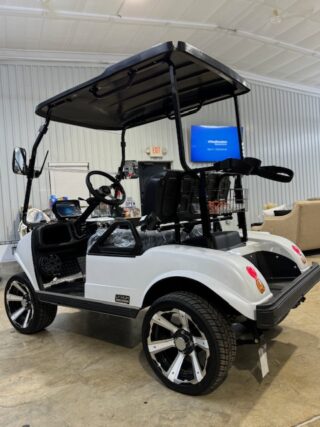 Golf Cart - Championship Carts - Image 4