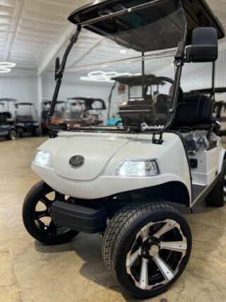 Golf Cart - Championship Carts - Image 5